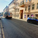Санкт-Петербург, фото отдыхающего в августе