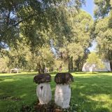 Подмосковье, фото отдыхающего в августе
