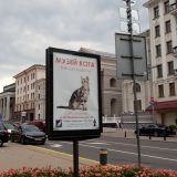 Минская область, фото отдыхающего в июле