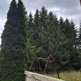 Гостевой дом Константа, фото гостя