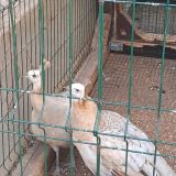 Гостевой дом Диадема Шереметьево, фото гостя