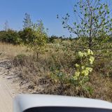 Отель Южный бриз, фото гостя