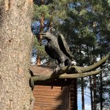 Парк-Отель Берендеевка, фото гостя