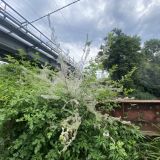 Кубань, фото отдыхающего в августе