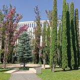 Краснодарский край, фото отдыхающего в августе