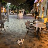 Республика Дагестан, фото отдыхающего в августе