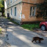 Апартаменты Душевно на Новолучанской 38, фото гостя