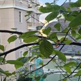 Мини-отель Mina, фото гостя