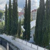 Гостевой дом Golden House, фото гостя