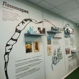 Архангельская область, фото отдыхающего в августе