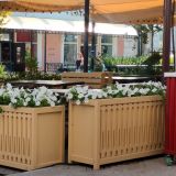 Республика Татарстан, фото отдыхающего в августе