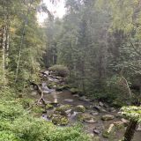 Белокуриха, фото отдыхающего в августе