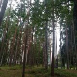 Отель Гелиос, фото гостя