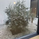 Отель Веселовка Экспириенс, фото гостя