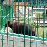 Гостевой дом О,Тепло, фото гостя