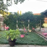 Гостевой дом Фламинго, фото гостя