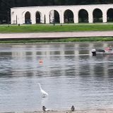 Великий Новгород, фото отдыхающего в сентябре