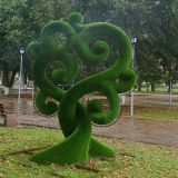 Вышний Волочек, фото отдыхающего в сентябре