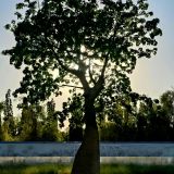 Юг России, фото отдыхающего в августе
