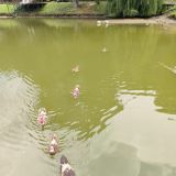 База отдыха Озеро Желаний, фото гостя
