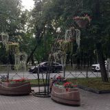 Приозерск, фото отдыхающего в августе