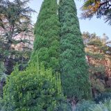 Большая Алушта, фото отдыхающего в сентябре