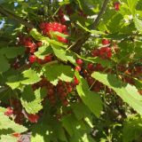 Мини-отель Даурия, фото гостя