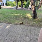 LAVICON отель фрегат, фото гостя