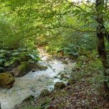 Лаго-Наки, фото отдыхающего в августе