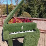 Витебск, фото отдыхающего в сентябре