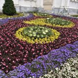 Центральная Россия, фото отдыхающего в сентябре