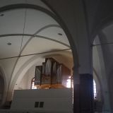 Ленинградская область, фото отдыхающего в сентябре