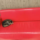 Отель Матисов Домик у Новой Голландии, фото гостя