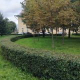 Отель Номера у Невы, фото гостя