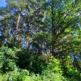 Кисловодск, фото отдыхающего в сентябре