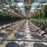 Краснодар, фото отдыхающего в сентябре