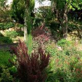 Отель Можжевеловый парк, фото гостя