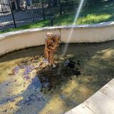 Кисловодск, фото отдыхающего в сентябре