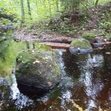 Псковская область, фото отдыхающего в сентябре