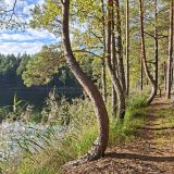 Псковская область, фото отдыхающего в сентябре