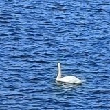 Балтийское море, фото отдыхающего в сентябре
