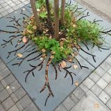Балтийское море, фото отдыхающего в сентябре