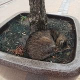 Балтийское море, фото отдыхающего в сентябре