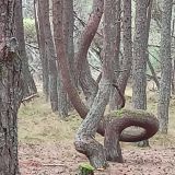 Балтийское море, фото отдыхающего в сентябре