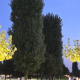 Юг России, фото отдыхающего в сентябре