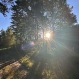 Экопарк Поляны, фото гостя