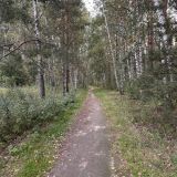 Экопарк Поляны, фото гостя