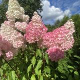 Отель Высота, фото гостя