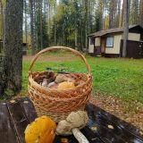 База отдыха Сямозеро, фото гостя