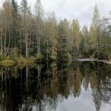 База отдыха Сямозеро, фото гостя
